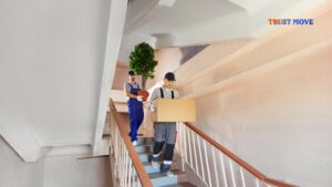 Leading International Moving Company in Ahmedabad | End-to-End Moving Solutions